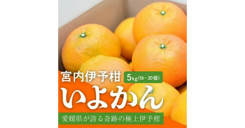 【ふるさと納税】 【先行予約】 宮内伊予柑 5kg みかん 5kg みかん 愛媛 みかん 松山 みかん 農家直送 いよかん 蜜柑 柑橘 果物 くだもの フルーツ お取り寄せ グルメ 期間限定 数量限定 人気 おすすめ 愛媛県 松山市