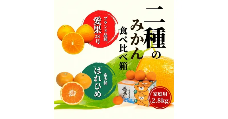 【ふるさと納税】【早期予約受付中！2024年12月～順次発送】二種のみかん食べ比べ箱 愛果28号・はれひめ 家庭用 約2.8kg | 愛果28号 まどんな 柑橘 みかん 果物 くだもの フルーツ おすすめ 高級 人気 お取り寄せ グルメ ギフト 期間限定 数量限定 ご当地 愛媛県 松山市