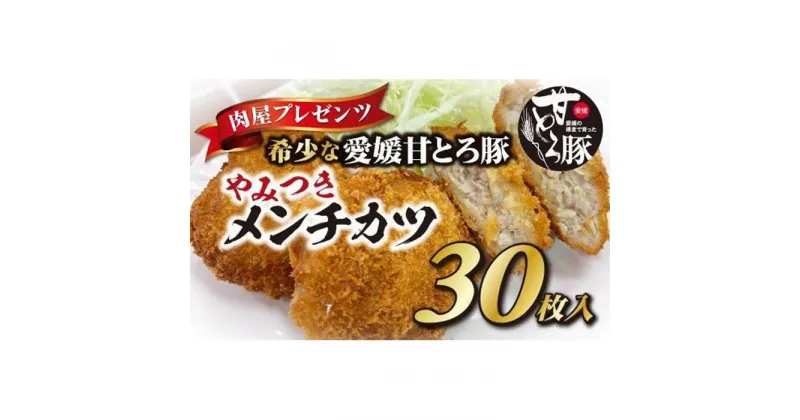 【ふるさと納税】 ＜肉屋プレゼンツ＞希少な甘とろ豚 やみつきメンチカツ30枚入