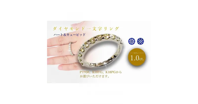 【ふるさと納税】 PT950 ダイヤ1.00ct ハーフエタニティ リング