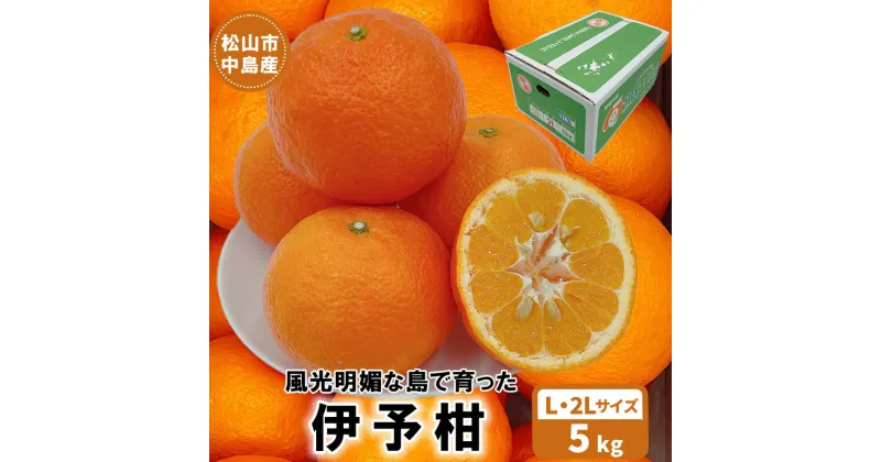 【ふるさと納税】 【発送は1月下旬から】 松山市中島産 伊予柑 Lから2Lサイズ 5kg （ 国産 愛媛みかん 愛媛ミカン みかん ミカン mikan 蜜柑 柑橘 フルーツ 果物 くだもの お取り寄せ 産地直送 数量限定 人気 おすすめ 愛媛県 松山市 送料無料 フジ・アグリフーズ）