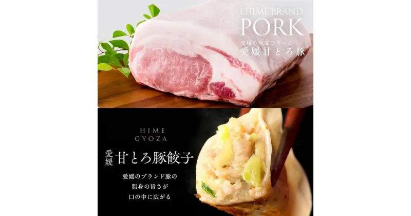 【ふるさと納税】甘とろ豚 餃子 60個 ぎょうざ ギョーザ 国産豚肉 簡単 簡単調理 時短 お手軽 ご飯のお供 絶品 おかず 晩ごはん 弁当 惣菜 晩酌 おかず ギフト お取り寄せ 人気 愛媛県 松山市 送料無料