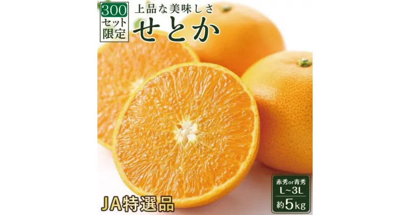 【ふるさと納税】★300セット限定★ JA特選品 せとか5kg　(赤秀・青秀いずれかL~3L) | 柑橘 みかん 果物 くだもの フルーツ おすすめ 高級 人気 お取り寄せ グルメ 期間限定 数量限定 新着