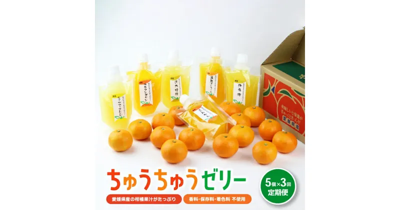 【ふるさと納税】 ちゅうちゅう ゼリー 定期便 175g 5本 × 3回 柑橘 みかん みかんゼリー フルーツゼリー デザート フルーツ 果物 国産 飲料 常温 シャーベット スイーツ お取り寄せ ギフト 人気 おすすめ お土産 愛媛県 松山市 送料無料