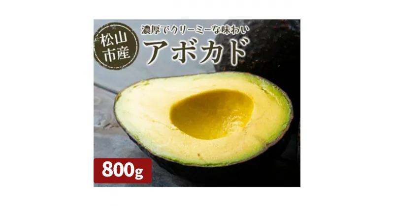 【ふるさと納税】【11月上旬から発送予定】 松山市産 アボカド 800g （ サラダ 料理 果物 ヘルシー アボガド ダイエット ミネラル 森のバター サラダ 栄養 国産 愛媛 松山 ）