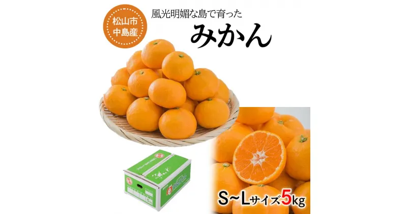 【ふるさと納税】 【発送は11月中旬から】 中島産 みかん S～L サイズ 5kg （ 国産 愛媛みかん 愛媛蜜柑 愛媛ミカン みかん ミカン mikan 蜜柑 柑橘 フルーツ 果物 くだもの お取り寄せ 産地直送 数量限定 人気 おすすめ 愛媛県 松山市 送料無料 フジ・アグリフーズ ）