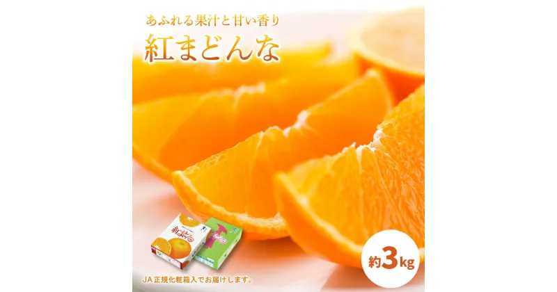 【ふるさと納税】 【 11月中旬から頃発送 】 紅まどんな 約3kg ＜ JA正規 化粧箱 ＞ 【 赤秀 限定 】