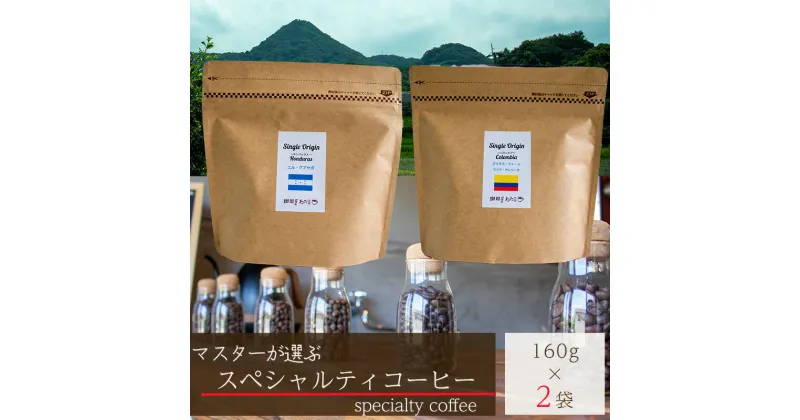 【ふるさと納税】 【スペシャルティコーヒー】マスターこだわりセレクトセット 160g×2種 コーヒー 時短 日持ち 保存 贈り物 お中元 母の日 父の日 おすすめ 愛媛県 松山市