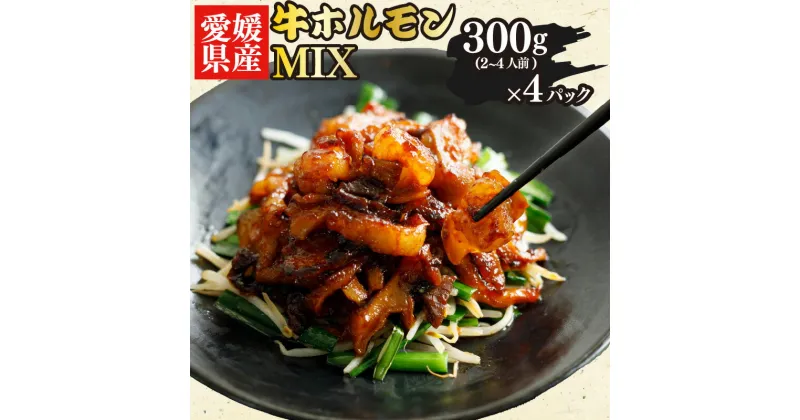 【ふるさと納税】 愛媛県産 牛 ホルモン MIX 300g × 4 パック ミックス ピリ辛 希少 小分け 愛媛県 松山市