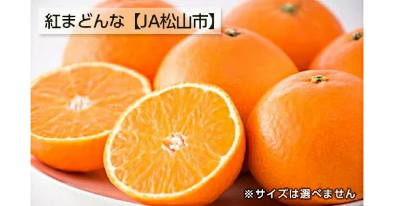 【ふるさと納税】 【11月下旬から発送】 松山市興居島産　紅まどんな　L〜3Lサイズ（ みかん 紅まどんな 高級 柑橘 フルーツ 果物 蜜柑 みかん 愛媛 フルーツ 松山 みかん フジ・アグリフーズ ）