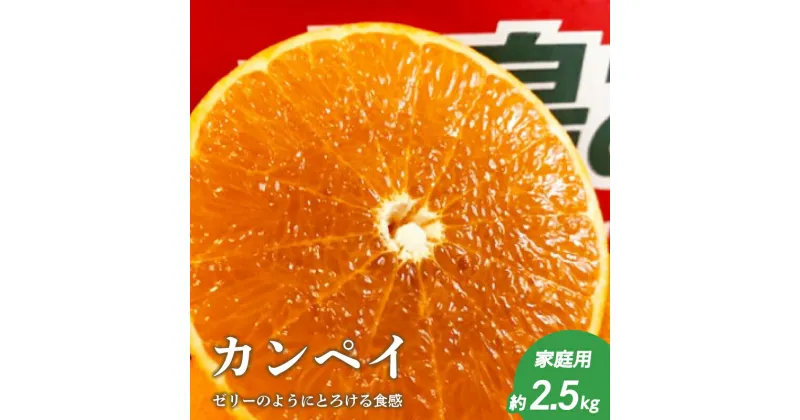 【ふるさと納税】 【2月上旬頃より発送】 甘平 約 2.5kg 【家庭用】 カンペイ みかん 柑橘 果物 フルーツ 松山市 愛媛県