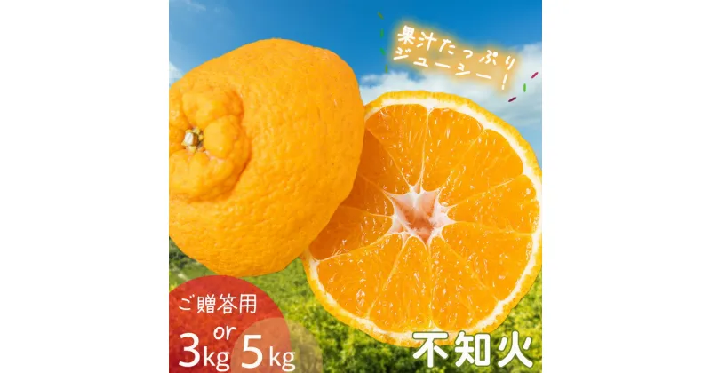 【ふるさと納税】 【2月下旬から順次発送】【ご贈答用】不知火（しらぬい）約5kg でこぽんと同品種 柑橘類 先行 果物 フルーツ みかん シラヌイ みかん 果物 くだもの フルーツ おすすめ 高級 人気 お取り寄せ グルメ ギフト 期間限定 数量限定 ご当地 愛媛県 松山市