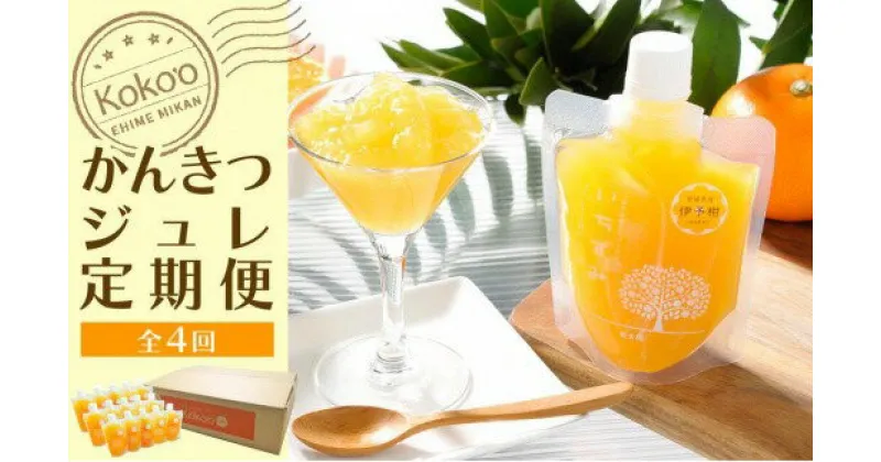 【ふるさと納税】 かんきつジュレ定期便　30個×4回 ジュレ コンフィチュール せとか あいか 愛果 ぶどう 柑橘 みかん ギフト おすすめ