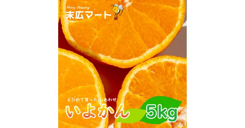 【ふるさと納税】 【 先行予約 】 伊予柑 いよかん 約 5kg 愛媛 興居島 柑橘 糖度 別名 宮内伊予柑