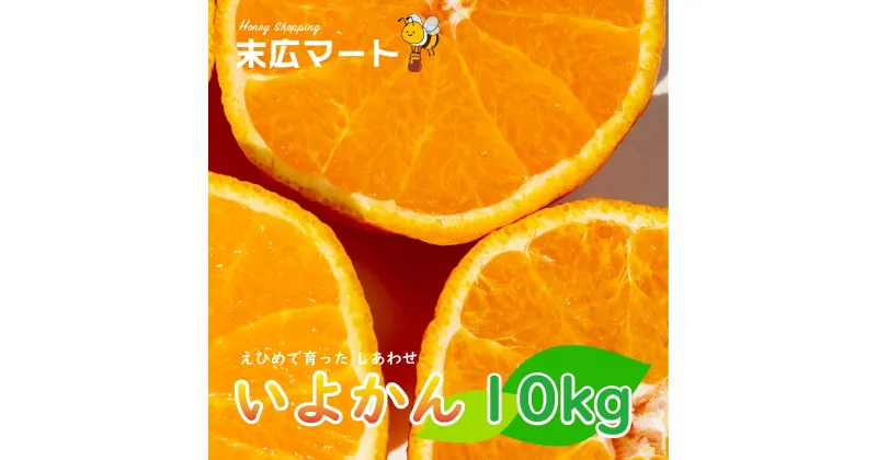 【ふるさと納税】 【 先行予約 】 伊予柑 いよかん 約 10kg 愛媛 興居島 柑橘 糖度 別名 宮内伊予柑