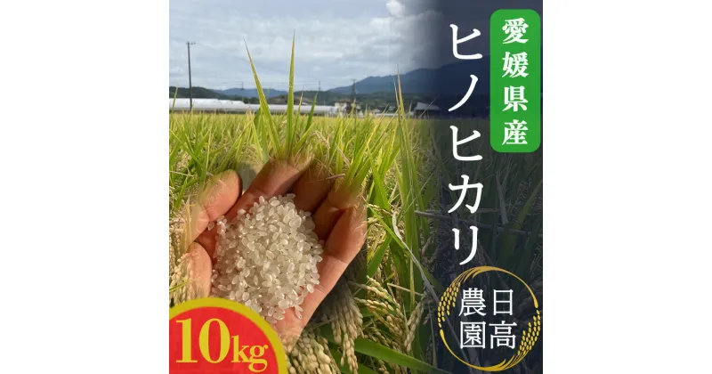 【ふるさと納税】 令和6年産！愛媛県産ヒノヒカリ 10kg ｜産地直送 国産 白米 ブランド米 期間限定 数量限定 ご当地 愛媛県 松山市