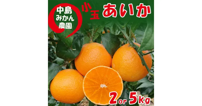 【ふるさと納税】 【2024年12月中旬から発送】 愛果28号 小玉 2kg または 5kg 中島みかん農園｜ みかん 蜜柑 高級 柑橘 果物 フルーツ あいか みかん 松山市 愛媛県