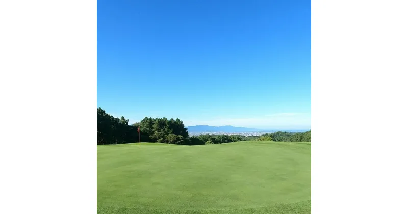 【ふるさと納税】 道後温泉から約10分！【平日】4名様分セルフプレー券