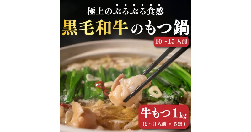 【ふるさと納税】 もつ鍋 ホルモン 計1kg！ 国産 黒毛和牛 もつ鍋セット ( 200g × 5パック) ホルモン 国産牛 和牛 もつ鍋 モツナベ 鍋セット 小分け 冷凍 コラーゲン コラーゲン鍋 肉 牛肉 和牛 国産 10人前 ~ 15人前 人気 おすすめ 愛媛県 松山市 送料無料