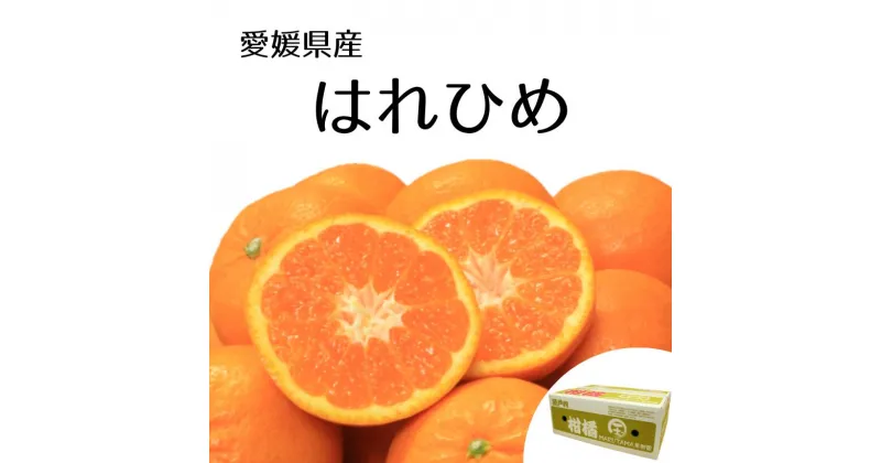 【ふるさと納税】 【先行予約】【2024年12月下旬頃発送】はれひめ 約5kg 愛媛県産 柑橘 みかん サイズおまかせ 万田酵素 MARUTAMA果樹園 玉井農園 愛媛県 松山市