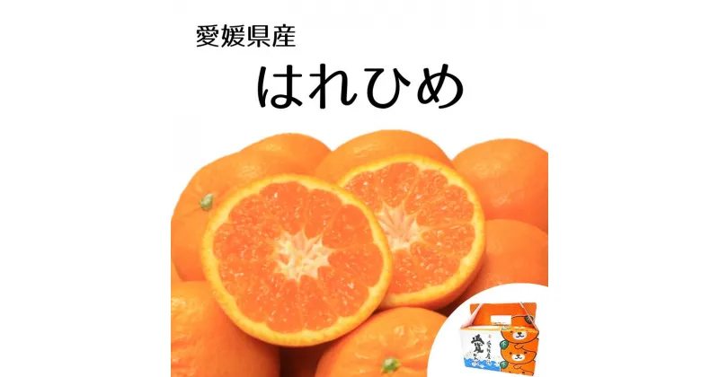 【ふるさと納税】 【先行予約】【2024年12月下旬頃発送】はれひめ 約2.5kg 愛媛県産 柑橘 みかん サイズおまかせ 万田酵素 MARUTAMA果樹園 玉井農園 愛媛県 松山市