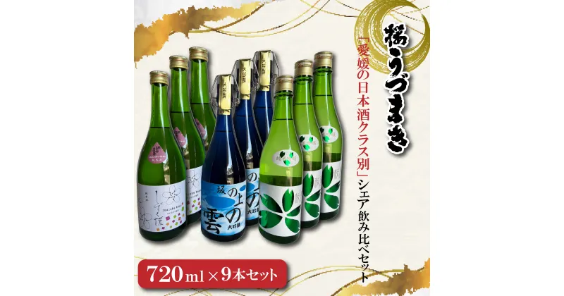 【ふるさと納税】 愛媛の日本酒クラス別・シェア飲み比べセット