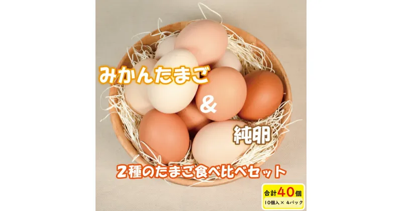 【ふるさと納税】 【発送月が選べる】2種の卵食べ比べセット 計 40 個 ( 10個×4パック ) みかんたまご と 純卵 じゅんたまご ※割れ保証5個を含む ( 卵 たまご タマゴ 玉子 卵料理 卵かけごはん TKG エッグ egg 卵 食べ比べ 小分け 愛媛県 松山市 )