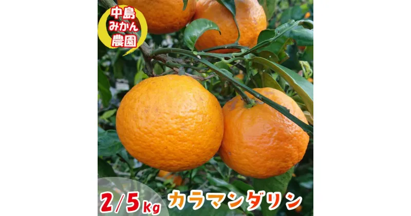 【ふるさと納税】 【2025年5月から発送】春 みかん カラマンダリン 家庭用 2kg または 5kg｜みかん 蜜柑 旬 わけあり 訳あり 甘い 柑橘 果物 フルーツ 糖度 愛媛 松山