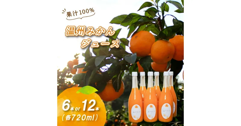 【ふるさと納税】 温州みかんジュース 720ml × 6本 / 12本 果汁100% 無添加 ストレートジュース 数量選択可 | みかんジュース 果汁100% みかんジュース ストレート 100% ジュース 柑橘 果汁飲料 みかんジュース NPO法人農音 愛媛県 松山市 中島