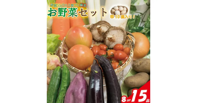 【ふるさと納税】 【＼ 野菜ソムリエ上級プロ厳選／】 野菜セット 8品or15品 ( みかんたまご 10個入り ) | 新鮮 野菜 セット 詰め合わせ 卵 たまご 旬 産地 直送 国産 季節の野菜 愛媛県 松山市