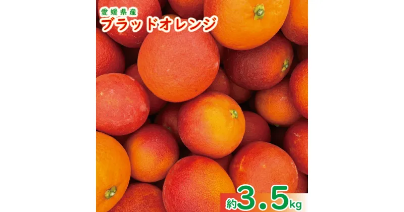 【ふるさと納税】 ブラッドオレンジ (モロ) 約 3.5kg ＜3月中旬～発送予定＞ 柑橘 みかん 果物 くだもの フルーツ おすすめ 人気 お取り寄せ グルメ ギフト 期間限定 数量限定 ご当地 愛媛県 松山市