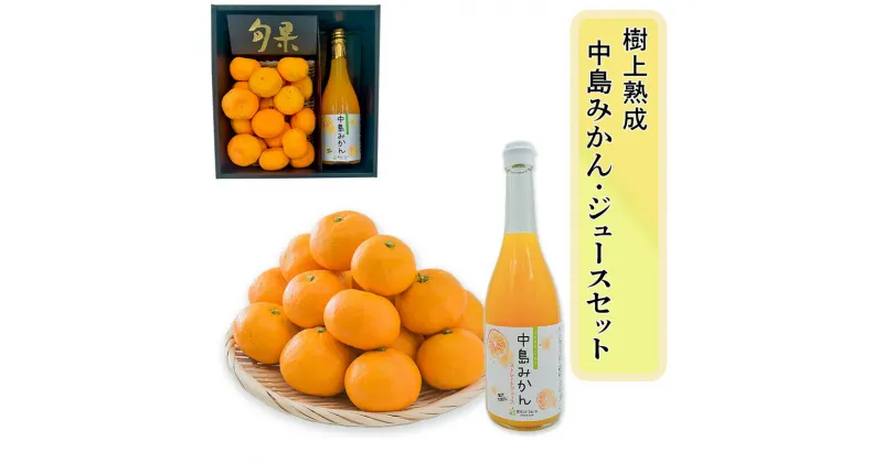 【ふるさと納税】【11月中旬頃より発送】 中島みかん・中島みかんジュースセット（先行予約 みかん 蜜柑 ジュース 国産 柑橘 甘い 中島 愛媛 松山 ）フジ・アグリフーズ