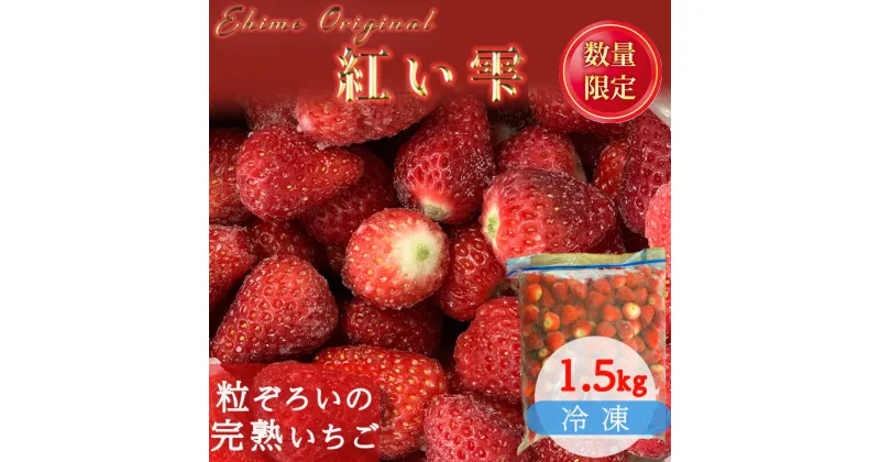 【ふるさと納税】 【2025年3月から発送】愛媛県オリジナル品種 紅い雫の冷凍イチゴ 1.5kg |（ 先行予約 いちご 苺 イチゴ 甘い フルーツ 果物 ジャム ヨーグルト アイスクリーム スムージー グラノーラ お菓子作り 朝食 愛媛県 松山市 ）