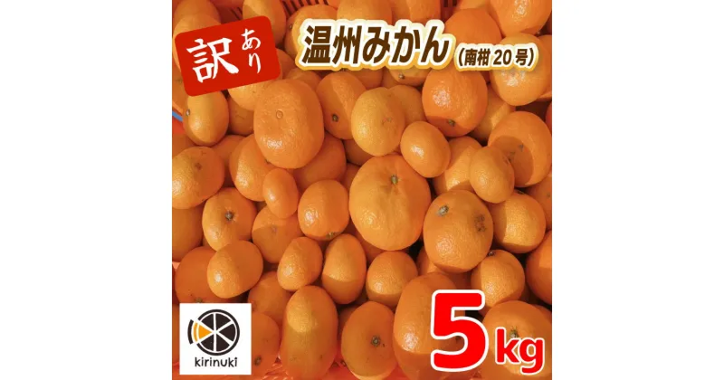 【ふるさと納税】 【12月中旬から発送予定】 訳あり 温州みかん 5kg | みかん 柑橘 訳あり みかん ミカン 柑橘 みかん 柑橘 5kg 愛媛県 松山市