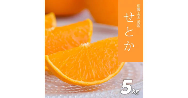 【ふるさと納税】 【先行予約】せとか 5kg 先行予約 愛媛 柑橘 果物 くだもの フルーツ お取り寄せ グルメ 期間限定 人気 おすすめ 愛媛県 松山市