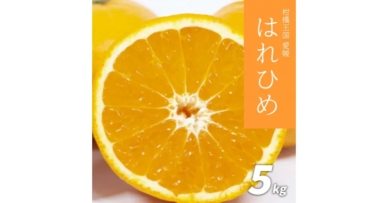 【ふるさと納税】 【先行予約】はれひめ 5kg 先行予約 愛媛 柑橘 果物 くだもの フルーツ お取り寄せ グルメ 期間限定 人気 おすすめ 愛媛県 松山市