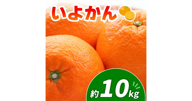 【ふるさと納税】伊予柑 10kg | みかん 愛媛 松山 フルーツ 果物 くだもの 数量限定 期間限定 送料無料 柑橘 みかん フルーツ 果物 みかん ランキング 2024年度