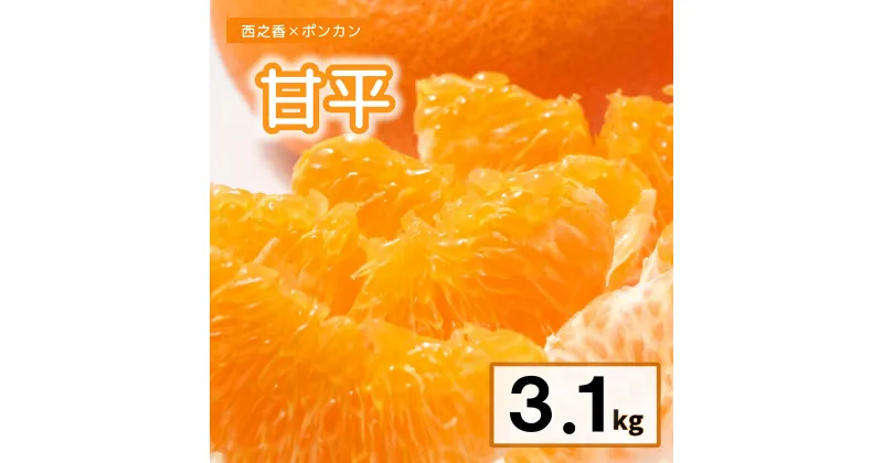 【ふるさと納税】 【2025年1月下旬以降発送】訳あり 農園直送 甘平（かんぺい） 3.1kg 愛媛県限定 希少 高級柑橘 手でむける みかん