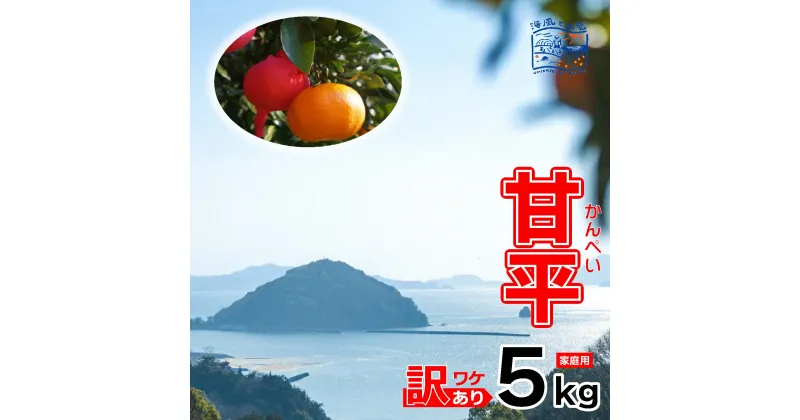 【ふるさと納税】 訳あり 甘平 家庭用 5kg｜産地直送 国産 柑橘 期間限定 数量限定 ご当地 愛媛県 松山市