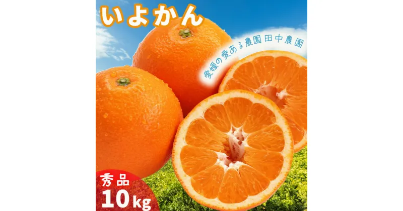 【ふるさと納税】 【1月上旬から順次発送】 秀品 伊予柑 約10kg （ 伊予柑 いよかん 約10kg 柑橘類 先行予約 フルーツ 柑橘類 先行予約 果物 フルーツ みかん イヨカン 宮内伊予柑 人気 おすすめ 愛媛 松山 田中農園 ）