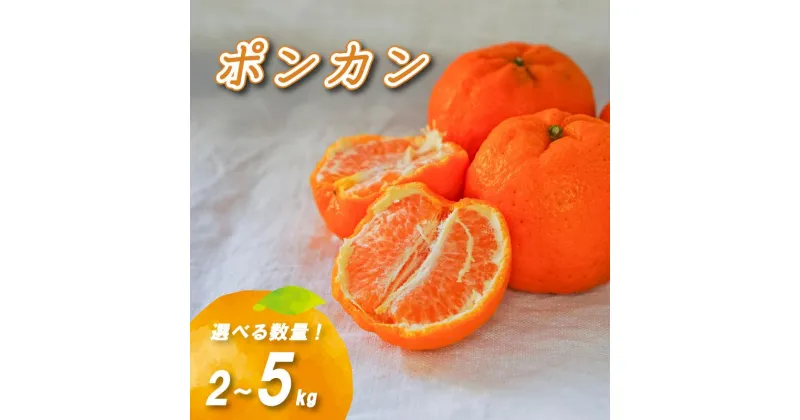 【ふるさと納税】 【2月上旬より発送】低農薬栽培ポンカン 2kg / 5kg ( 愛媛産 愛媛県産 国産 愛媛みかん 愛媛蜜柑 愛媛ミカン みかん ミカン mikan 蜜柑 柑橘 フルーツ 果物 くだもの お取り寄せ 産地直送 数量限定 人気 おすすめ 愛媛県 松山市 送料無料 )