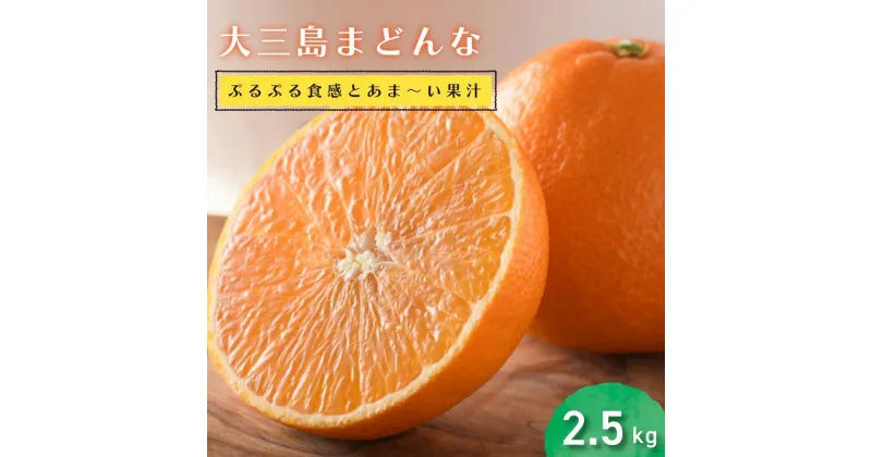 【ふるさと納税】 【先行予約】愛媛県今治産 ホリ田ヤの大三島まどんな 2.5kg 高級 みかん 柑橘類 愛媛ミカン 愛媛みかん 蜜柑 果物 甘い 高級みかん ふるさと納税ミカン ふるさと納税ふるーつ 愛媛ふるさと納税 【毎年売切れ】【2024年12月15日より順次発送】【KB00810】