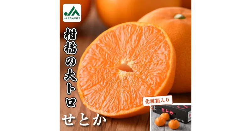 【ふるさと納税】【先行予約】愛媛県今治産 特選 せとか L～3L 10玉～15玉 国産 高級フルーツ 愛媛県産 みかん 柑橘 フルーツ 果物 大きい ギフト用 贈答用 フルーツギフト 愛媛県 今治産 せとかみかん 【化粧箱付き】【2025年2月4日から配送開始】【C63】【KC00630】