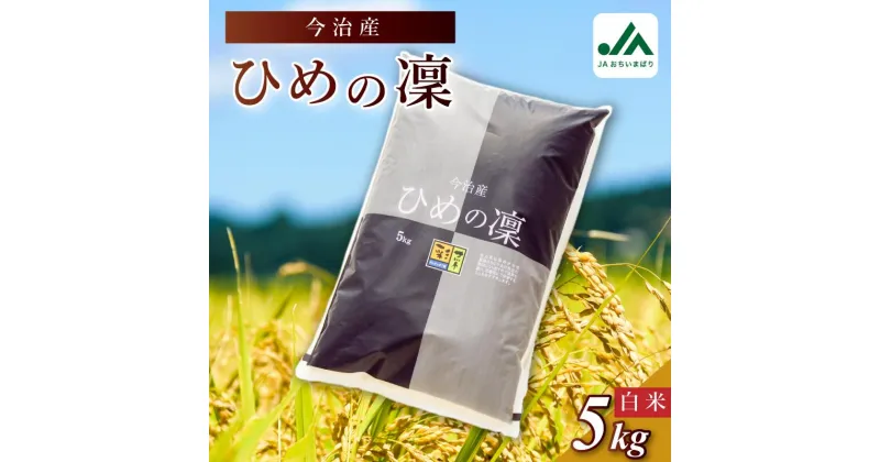 【ふるさと納税】今治産 米「ひめの凜」 5kg・10kg【VB01580】こだわり製法 国産 白米 精米 お米 コメ ギフト 産地直送米 グルメ 家庭応援 ご当地 特産品 JA