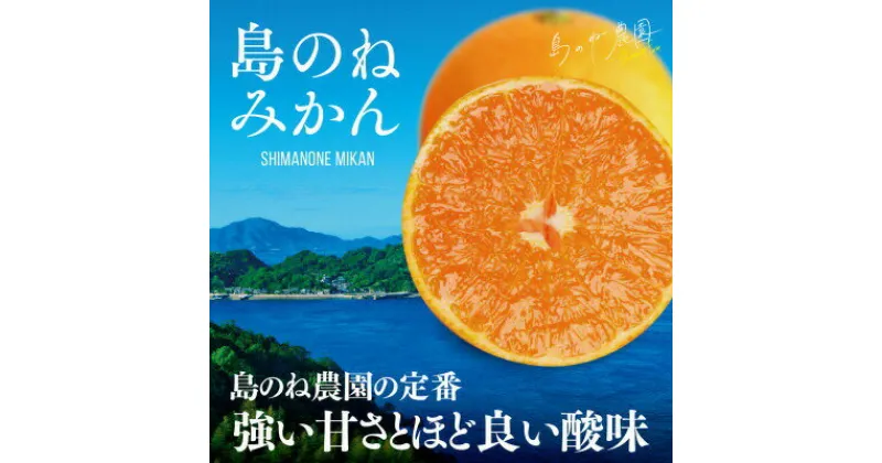 【ふるさと納税】島のね農園 みかん 家庭用 5kg【KB01630】