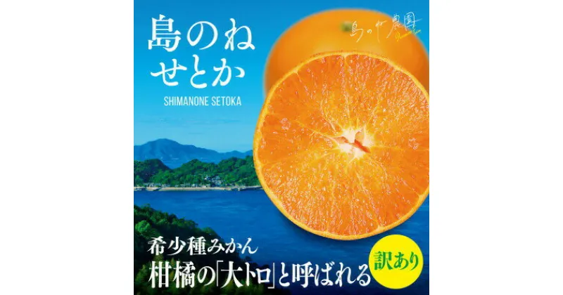 【ふるさと納税】【訳あり】島のね農園のせとか(4kg)【KB01610】