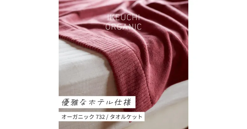 【ふるさと納税】オーガニック732 タオルケット イケウチオーガニック IKEUCHIORGANIC ホテル仕様 オーガニックタオルケット 綿タオルケット コットンタオルケット コットンタオルケットシングル日本製 オールシーズン ワイン グレイ ダークグレイ 池内 いけうち [I000950WI]