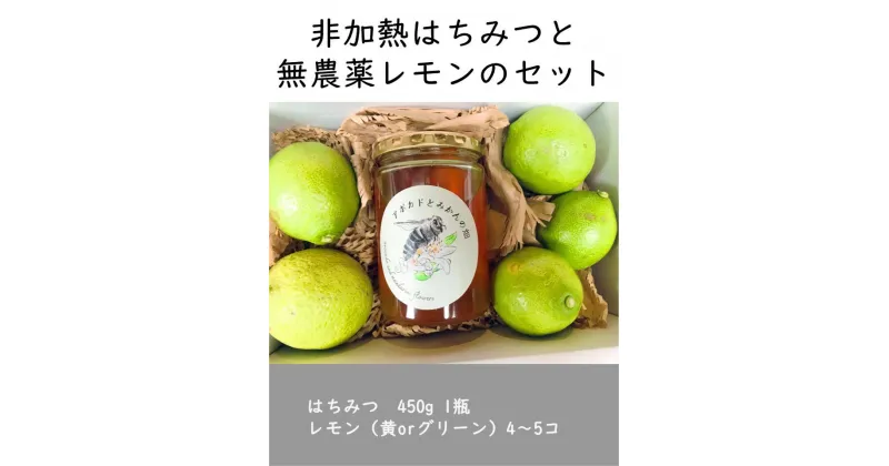 【ふるさと納税】【先行予約】はちみつ450g 1瓶 無農薬レモン4~5個セット Kura-Kura農園[K001350]