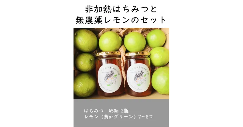 【ふるさと納税】【先行予約】はちみつ450g 2瓶 無農薬レモン7~8個セット Kura-Kura農園[K001360]