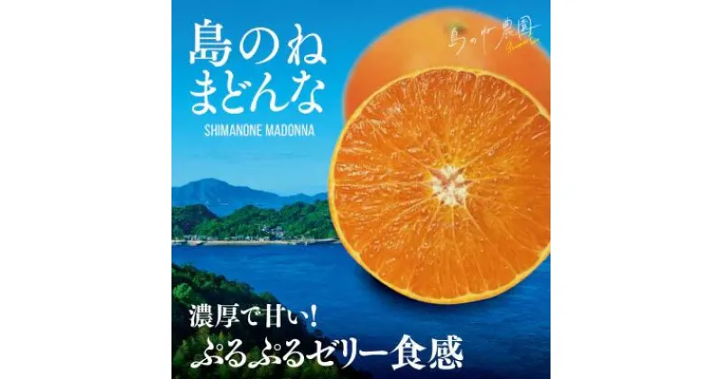 【ふるさと納税】島のね農園 まどんな(4kg)【K001620】 まどんな マドンナ 愛媛みかん 高級 美味しい 高級果物 甘いミカン 瀬戸内 愛媛 みかん ミカン フルーツ 高級フルーツ 国産 甘い お土産 お取り寄せ 果物 フルーツ 今治市